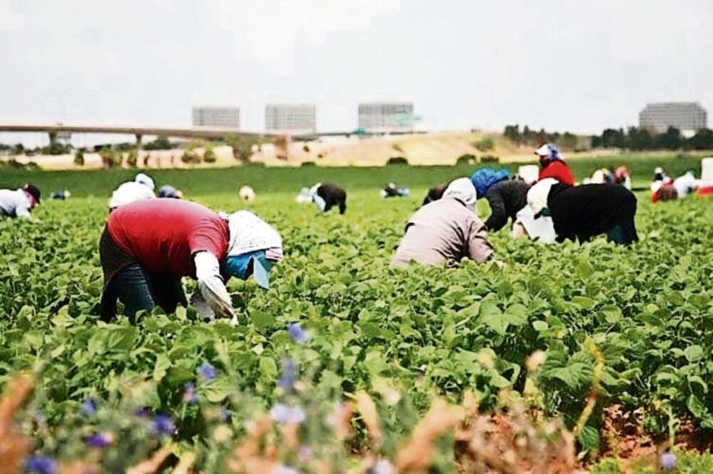 Los indocumentados son atacados a través de estudios con razonamientos incorrectos, de acuerdo con el Center for American Progress (FOTOS: CORTESÍA CHIRLA)