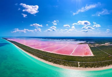 Cuánto cuesta un tour en las lagunas rosadas de Las Coloradas