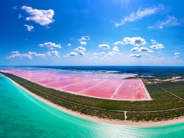 Cuánto cuesta un tour en las lagunas rosadas de Las Coloradas