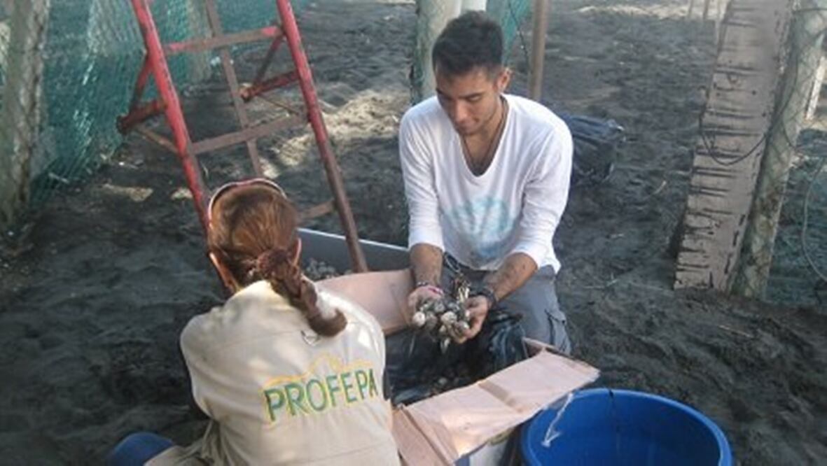 Foto: Twitter. @PROFEPA_Mx