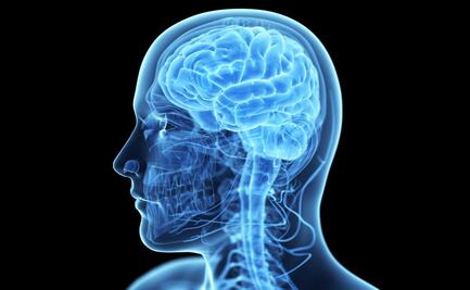 Así cambia tu cerebro con el aislamiento largo provocado por la pandemia