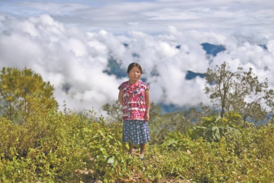 En el olvido, afectados por Ingrid y Manuel