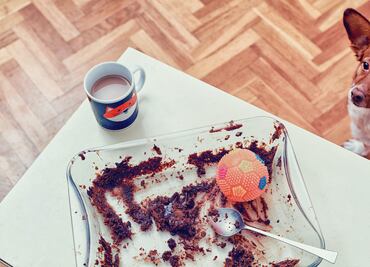 Por estas razones no debes darle chocolate a tus perros