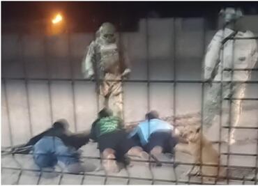 Militares agreden a tres hijos de periodista asesinado en Sonora el año pasado; están bajo resguardo del Mecanismo de Protección