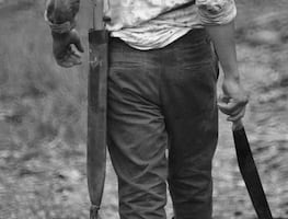 Rescatan a niña de dos años tomada como rehén por su padre en Nogales, Sonora; amenazaba con hacerle daño con un machete