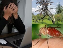 ¿Cuáles son las efemérides de este 6 de noviembre?