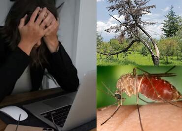 ¿Cuáles son las efemérides de este 6 de noviembre?