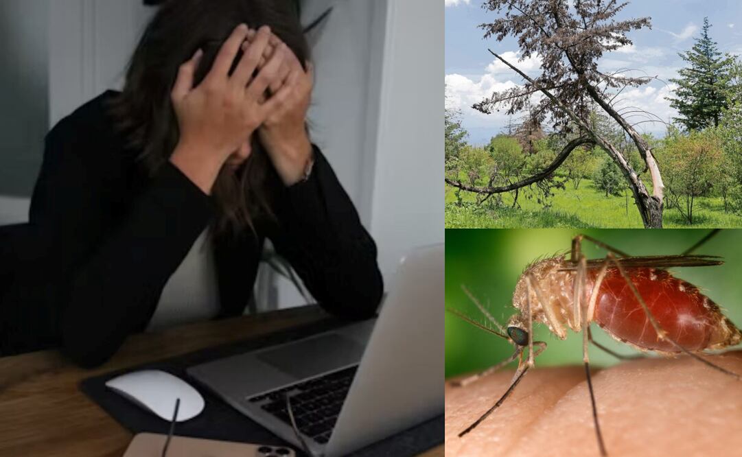 ¿Cuáles son las efemérides de este 6 de noviembre?