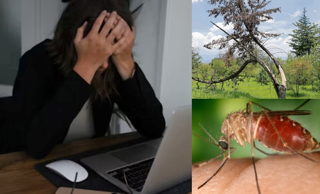 ¿Cuáles son las efemérides de este 6 de noviembre?