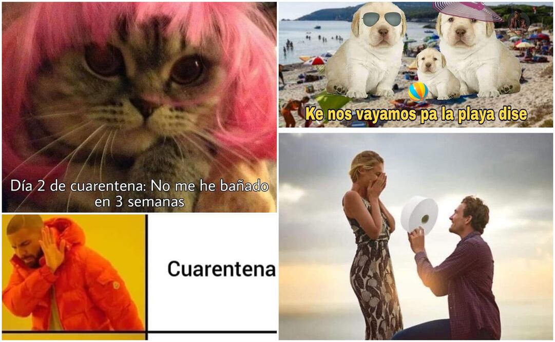 Mexicanos sobreviven a cuarentena por coronavirus con memes