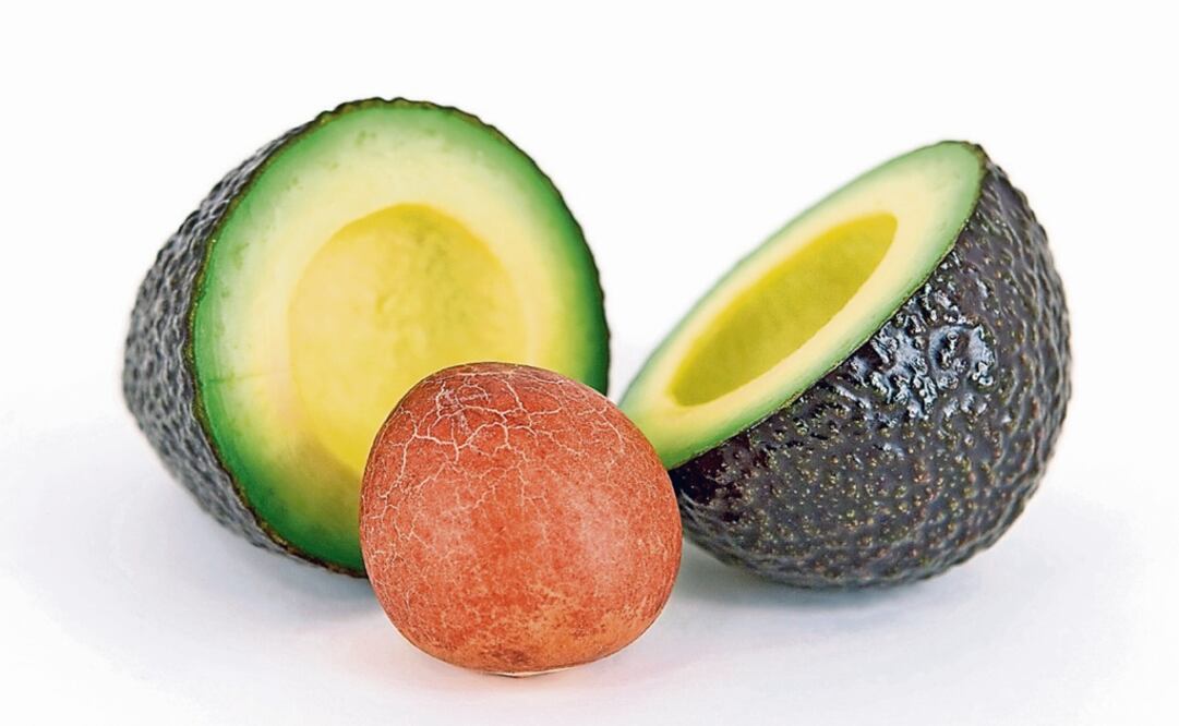 Avocados have high nutritional value – Photo: File photo/EL UNIVERSAL