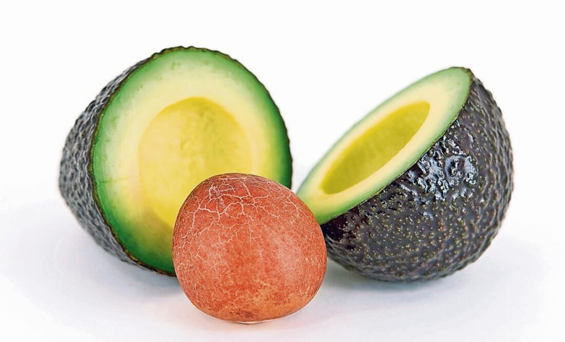Avocados have high nutritional value – Photo: File photo/EL UNIVERSAL