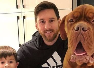 Estos son los lujos con los que vive ‘Hulk’ el perro de Leo Messi