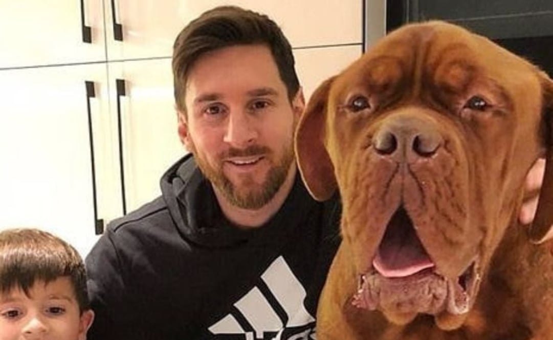 Lionel Messi y su perro Hulk. Fuente: Instagram @themessidog