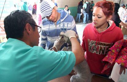 Esterilizan a 6 mil perros y gatos en Ecatepec