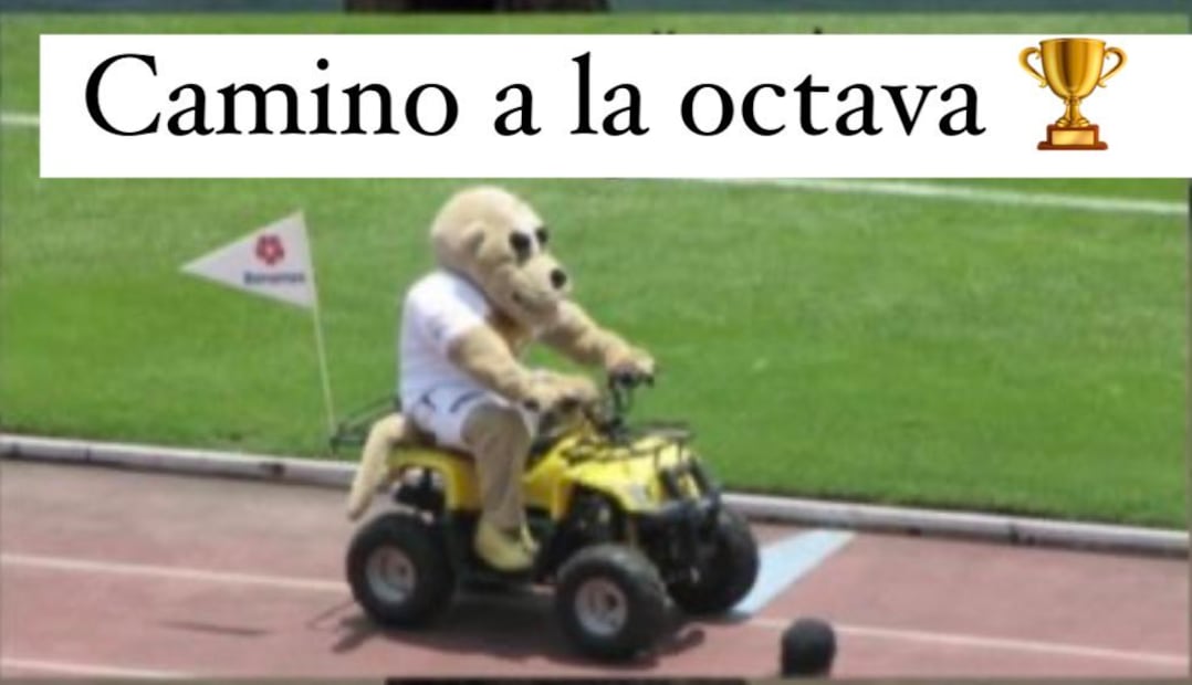 LOS MEJORES MEMES DE LA FINAL
