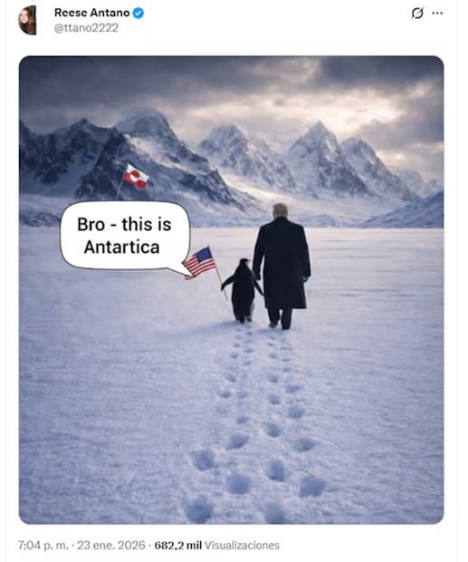 Una usuaria en X se burló de Trump, posteando: "Hermano, esto es Antártica". FOTO:  @ttano2222