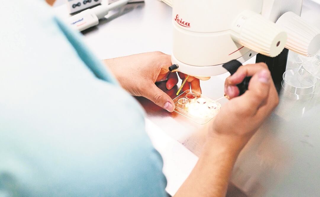 Foto: Archivo / EL UNIVERSAL 