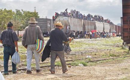 Human smuggling network dismantled