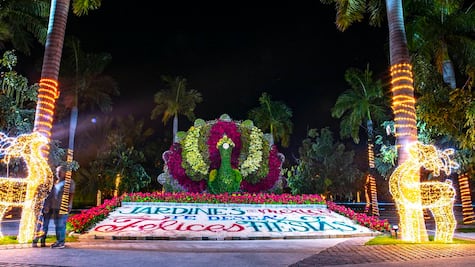 Cómo son los recorridos navideños en Jardines de México