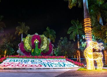 Cómo son los recorridos navideños en Jardines de México