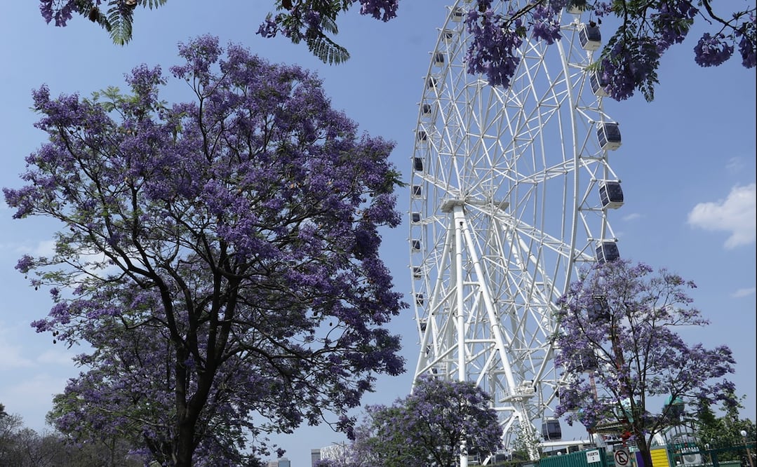El Parque Aztlán estrenará juegos nuevos en Semana Santa, el miércoles 9 de abril de 2025. Foto: Fernanda Rojas/EL UNIVERSAL