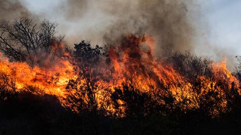 "10 veces el tamaño de Buenos Aires": así son los masivos incendios que han causado un "ecocidio" en Argentina