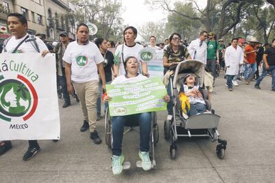 Acusa Tagle veto a ley de marihuana 