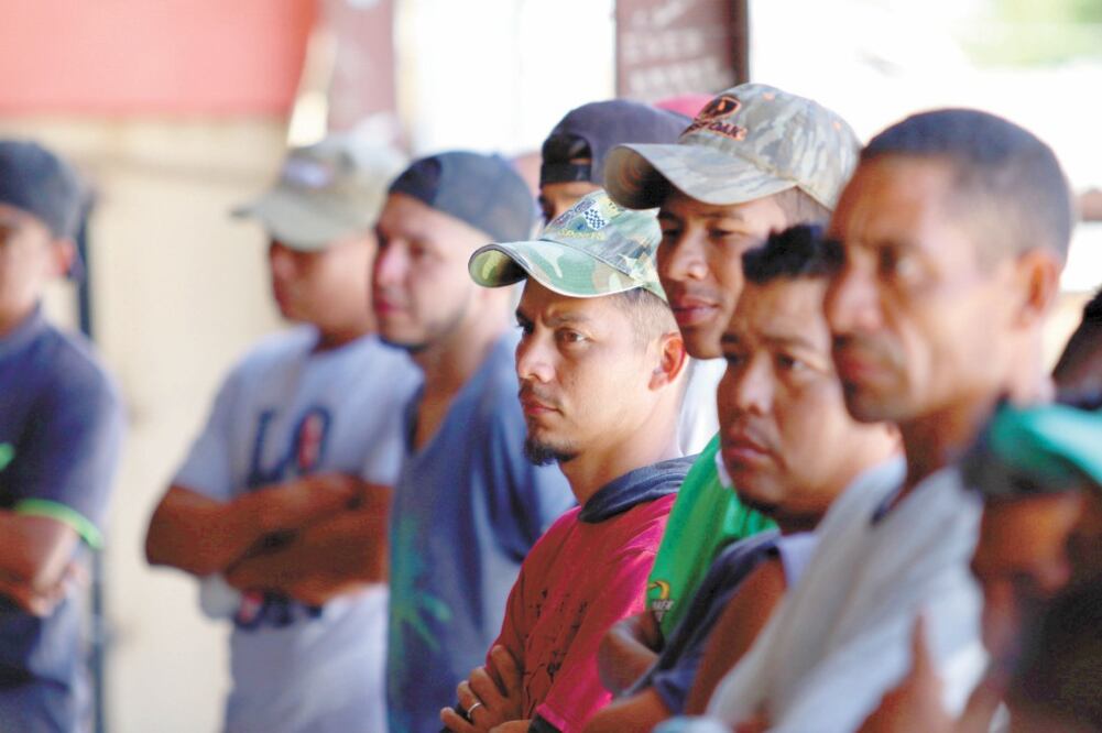 Hay 50 mil vacantes para los migrantes que han sido retornados a México, detalló el Servicio Nacional de Empleo. Foto/Archivo El Universal