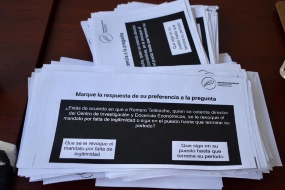 Comunidad del CIDE realiza consulta de revocación de mandato para determinar si Romero Tellaeche continúa como director