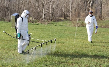 Herbicidas favorecen a bacterias resistentes a antibióticos: estudio