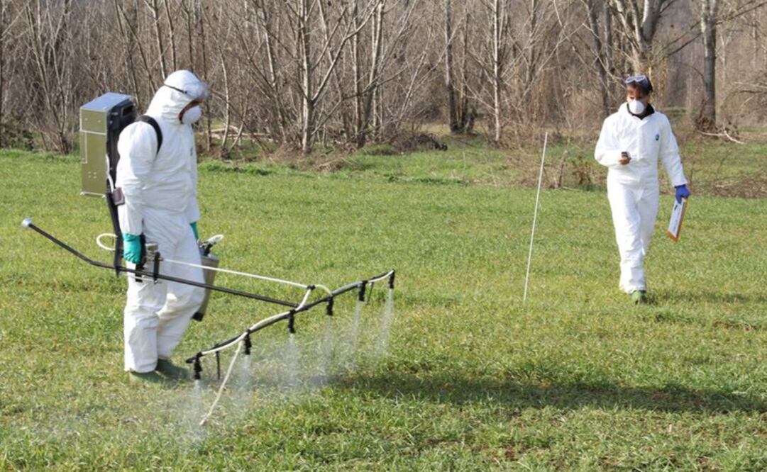 Foto: Universitat de Lleida vía Europa Press