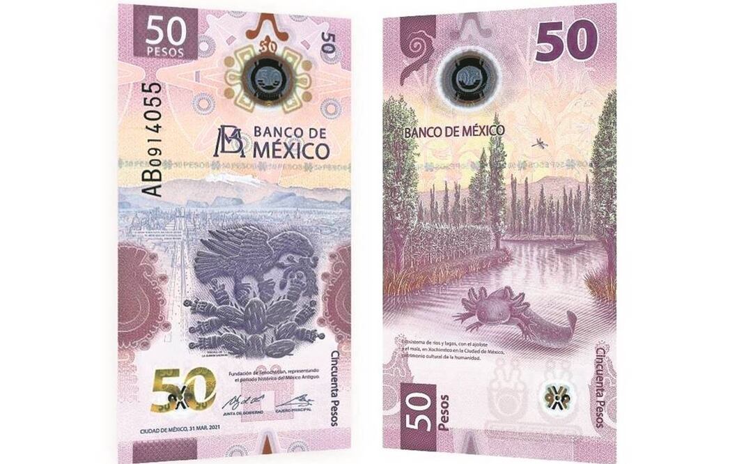 Imagen ilustrativa. Foto: Archivo/ EL UNIVERSAL.