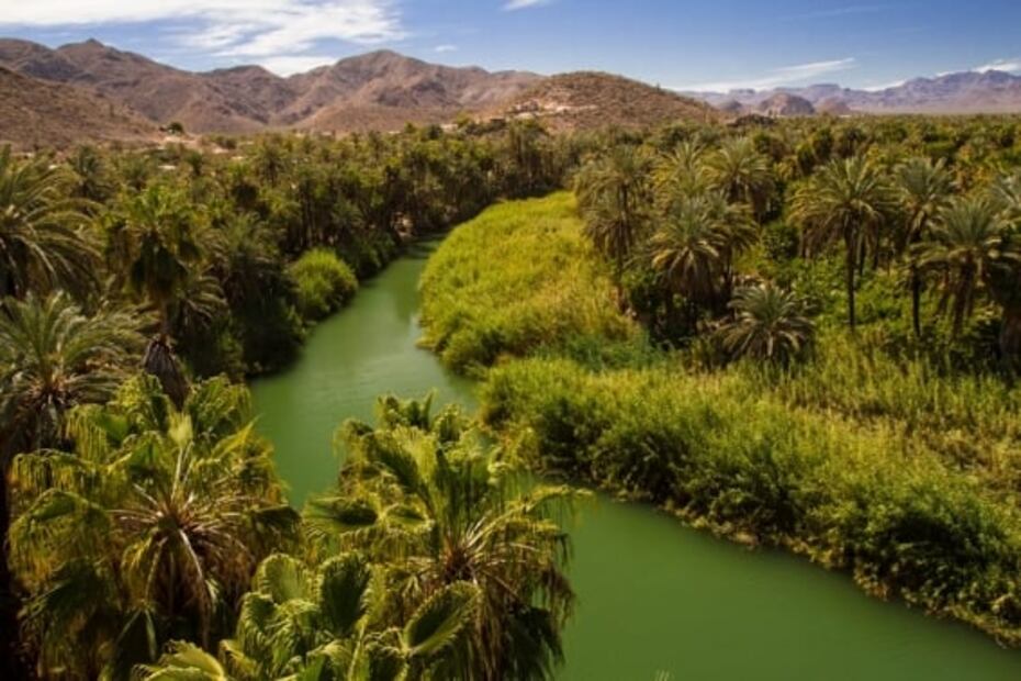 Mulegé, el increíble oasis de Baja California Sur