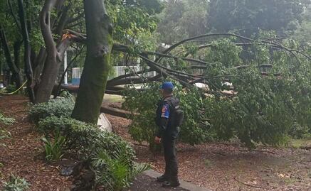 Desde encharcamientos hasta caída de un techo; reportan 7 colonias afectadas por la lluvia en alcaldía Cuauhtémoc