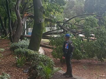 Desde encharcamientos hasta caída de un techo; reportan 7 colonias afectadas por la lluvia en alcaldía Cuauhtémoc