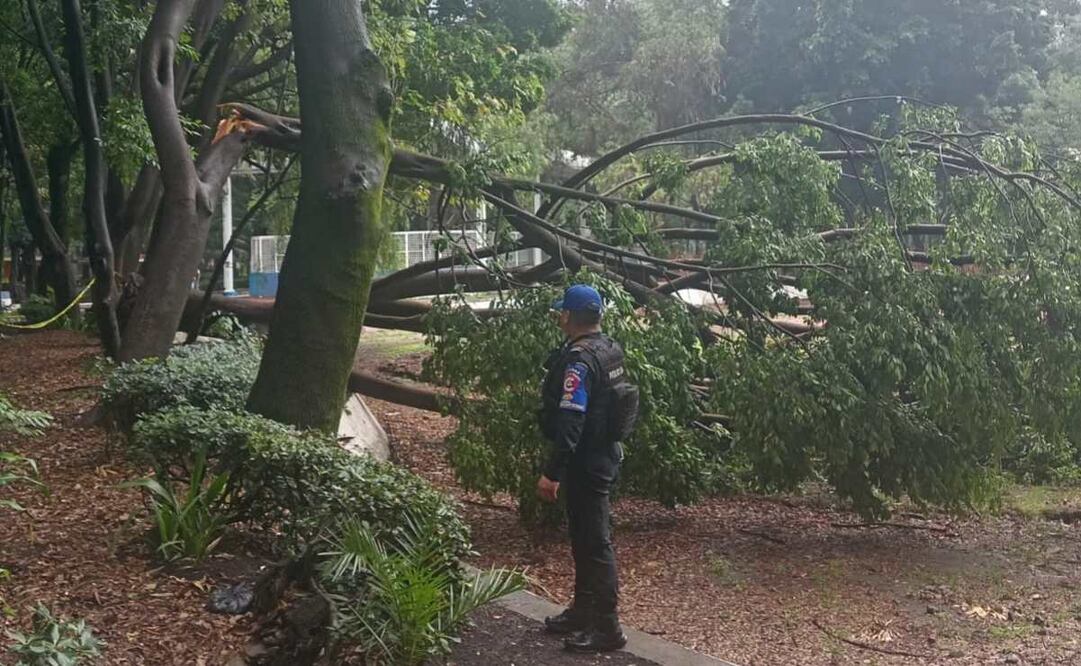Reportan 7 colonias afectadas por la lluvia en la Alcaldía Cuauhtémoc (12/06/2025). Foto: Especial