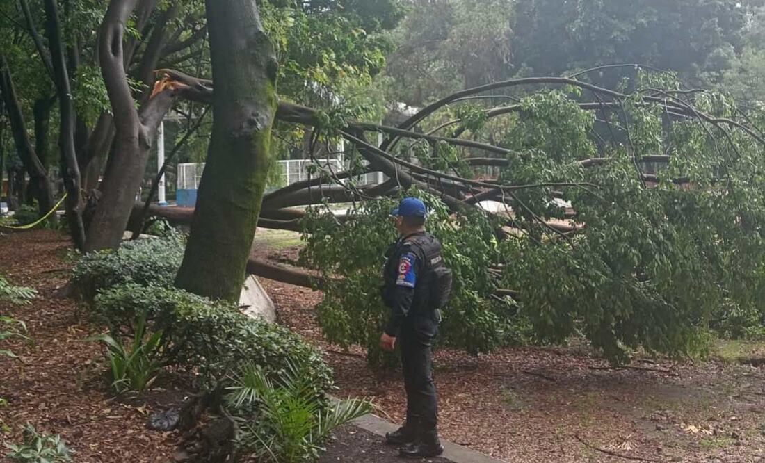 Reportan 7 colonias afectadas por la lluvia en la Alcaldía Cuauhtémoc (12/06/2025). Foto: Especial