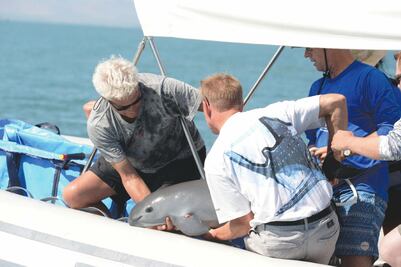 Piden no vetar pesca en golfo de California