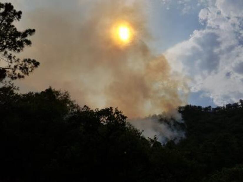Reportan más de mil hectáreas dañadas por incendio forestal en NL