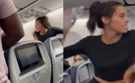 Gritos, insultos y botellazos: pasajera subió a su perro a un avión y todo terminó en escándalo
