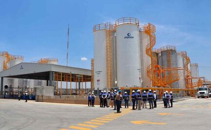 IMSS reconoce avance laboral en Hidalgo; mil 430 nuevos empleos en abril consolidan liderazgo