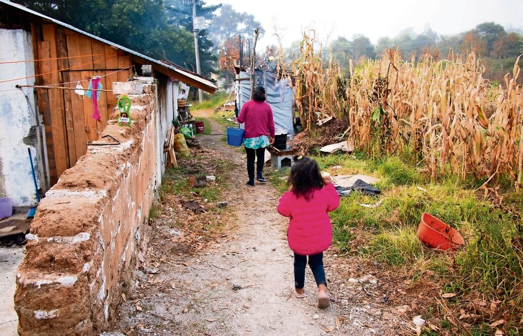 Familias de Oaxaca, Guerrero, Michoacán y Chiapas, principalmente, se han visto obligadas a desplazarse al norte debido a la violencia. Foto: Juana García