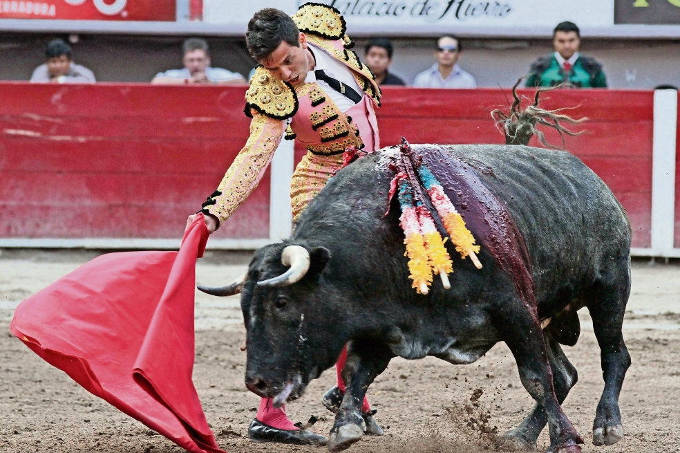 Revelaciones del escalafón