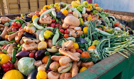 Desechos orgánicos, tesoros latentes