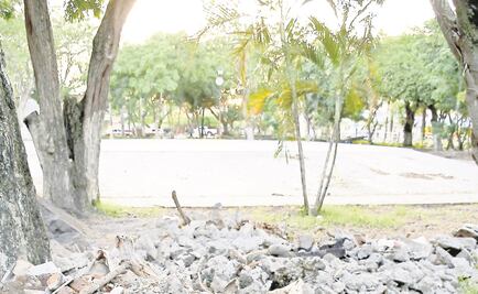 Veracruz no da respuestas acerca de la destrucción de escultura de Rómulo Rozo