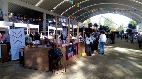 ¿Sabías que hay vino en San Luis Potosí?