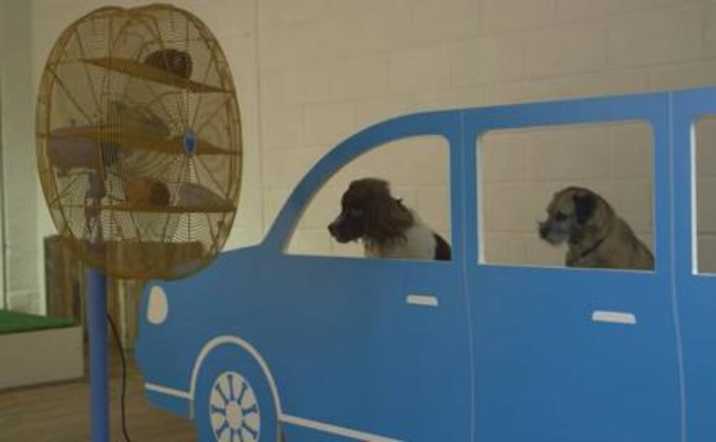 Abren la primera exposición de arte para perros