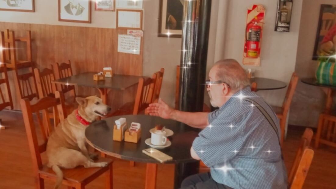 Corchito el perrito y acompañante en un bar que es viral en redes