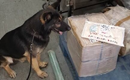 PF asegura metanfetaminas en aeropuerto de Cancún